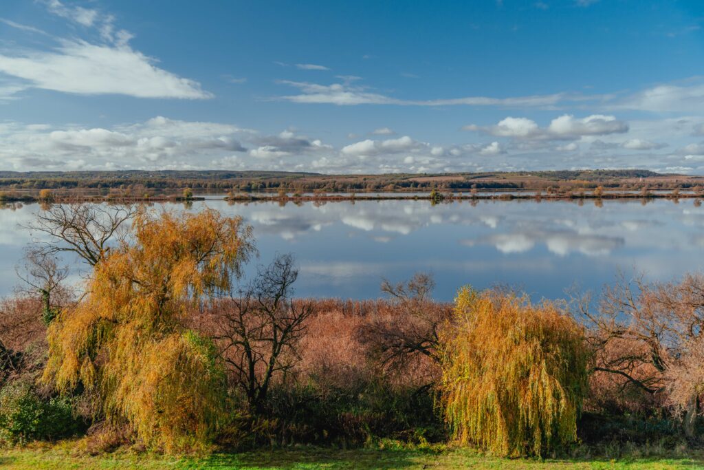 Kis-Balaton tó ősszel